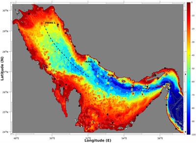 Seasonal variation and fundamental characteristics of baroclinic tides in the Arabian Gulf